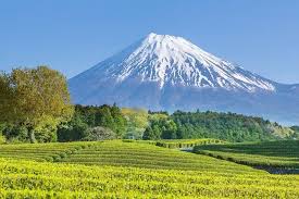 日本の絶景4