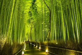 日本の絶景5