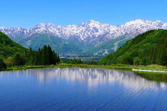 Nagano